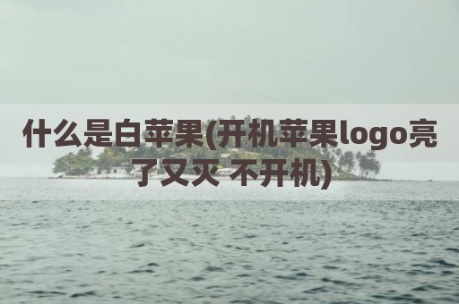 什么是白苹果(开机苹果logo亮了又灭 不开机)