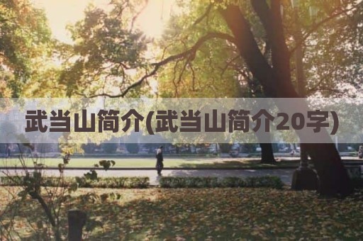 武当山简介(武当山简介20字)
