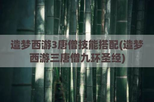 造梦西游3唐僧技能搭配(造梦西游三唐僧九环圣经)