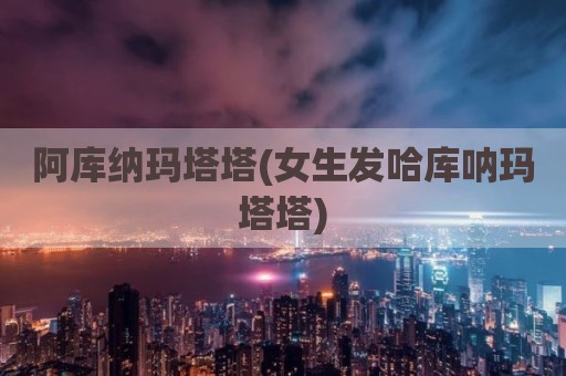 阿库纳玛塔塔(女生发哈库呐玛塔塔)