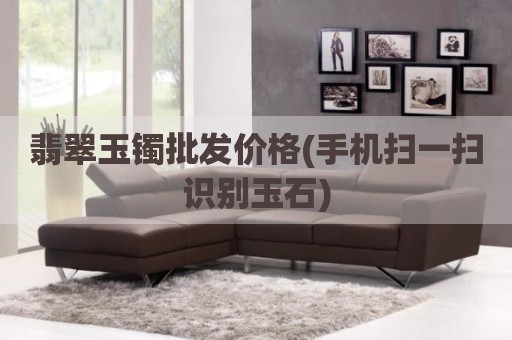 翡翠玉镯批发价格(手机扫一扫识别玉石)