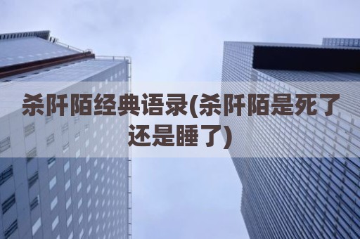 杀阡陌经典语录(杀阡陌是死了还是睡了)
