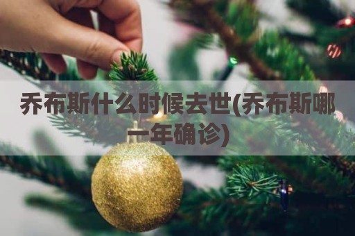 乔布斯什么时候去世(乔布斯哪一年确诊)