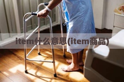 item什么意思(item商品)