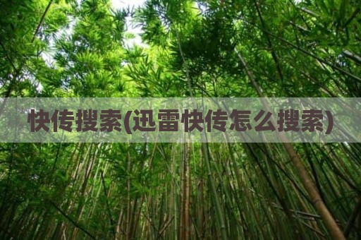 快传搜索(迅雷快传怎么搜索)