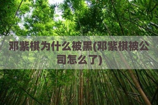 邓紫棋为什么被黑(邓紫棋被公司怎么了)