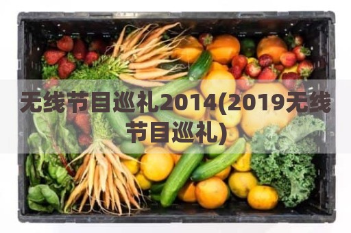 无线节目巡礼2014(2019无线节目巡礼)