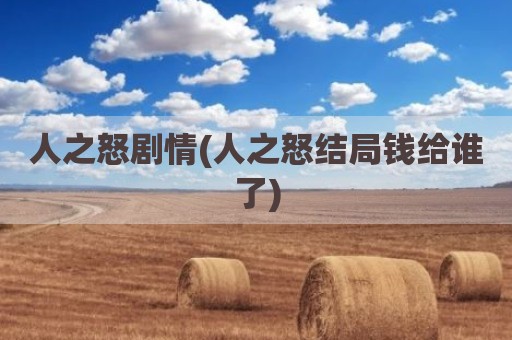 人之怒剧情(人之怒结局钱给谁了)