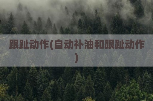 跟趾动作(自动补油和跟趾动作)