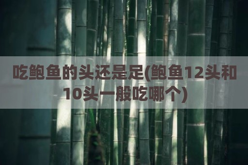 吃鲍鱼的头还是足(鲍鱼12头和10头一般吃哪个)