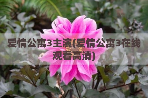 爱情公寓3主演(爱情公寓3在线观看高清)