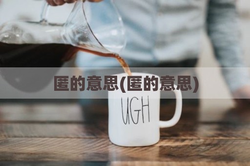 匿的意思(匿的意思)