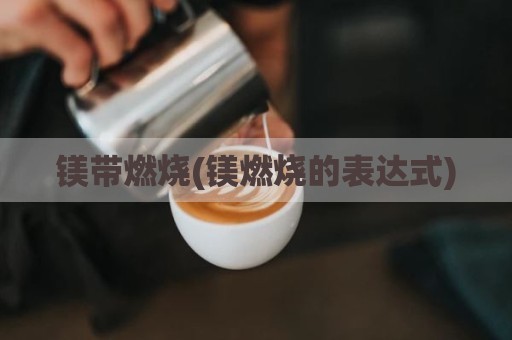 镁带燃烧(镁燃烧的表达式)