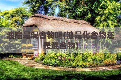 油脂是混合物吗(油是化合物还是混合物)