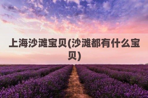 上海沙滩宝贝(沙滩都有什么宝贝)
