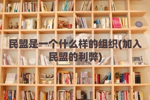 民盟是一个什么样的组织(加入民盟的利弊)