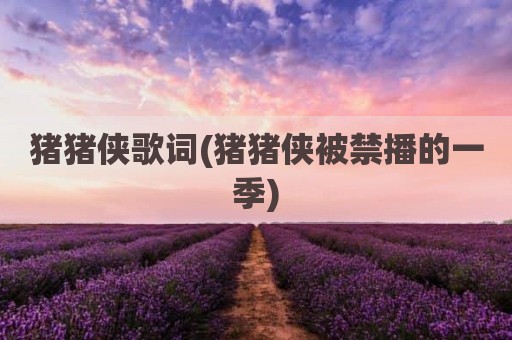 猪猪侠歌词(猪猪侠被禁播的一季)