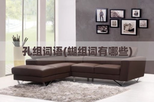 孔组词语(蝴组词有哪些)