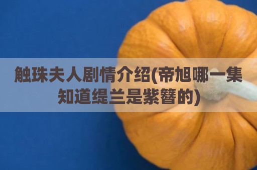 触珠夫人剧情介绍(帝旭哪一集知道缇兰是紫簪的)