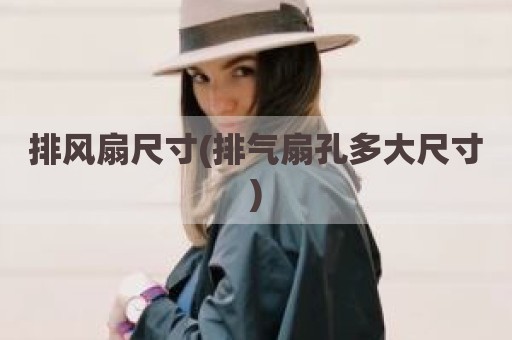 排风扇尺寸(排气扇孔多大尺寸)