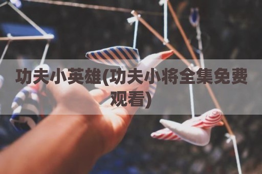 功夫小英雄(功夫小将全集免费观看)