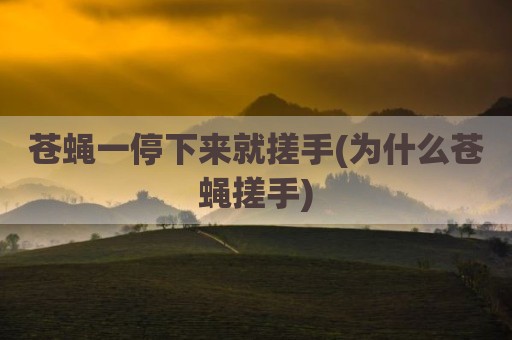 苍蝇一停下来就搓手(为什么苍蝇搓手)