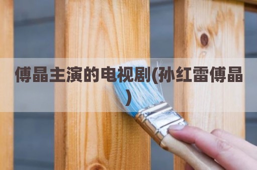 傅晶主演的电视剧(孙红雷傅晶)