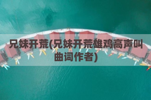 兄妹开荒(兄妹开荒雄鸡高声叫曲词作者)