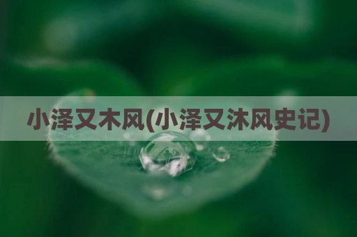 小泽又木风(小泽又沐风史记)