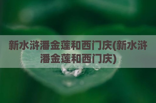 新水浒潘金莲和西门庆(新水浒潘金莲和西门庆)