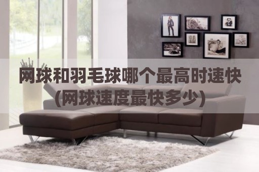 网球和羽毛球哪个最高时速快(网球速度最快多少)