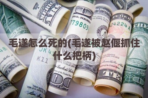 毛遂怎么死的(毛遂被赵偃抓住什么把柄)