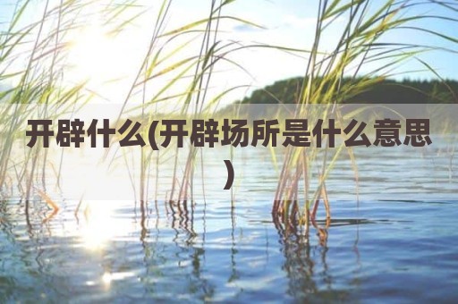 开辟什么(开辟场所是什么意思)