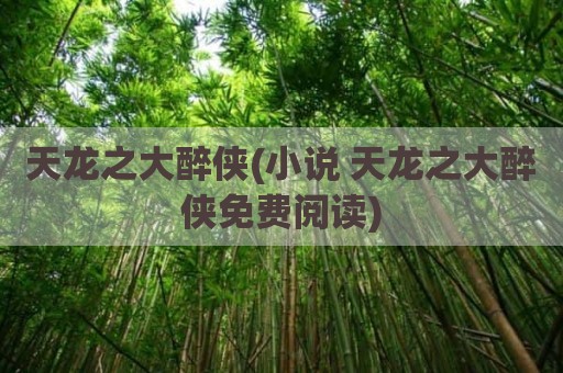 天龙之大醉侠(小说 天龙之大醉侠免费阅读)