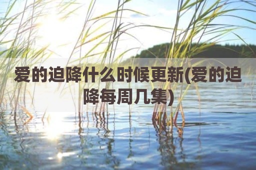 爱的迫降什么时候更新(爱的迫降每周几集)