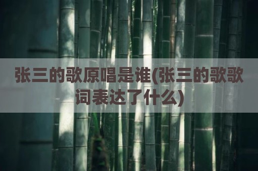 张三的歌原唱是谁(张三的歌歌词表达了什么)