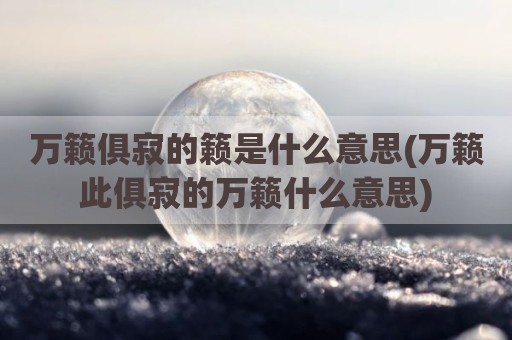 万籁俱寂的籁是什么意思(万籁此俱寂的万籁什么意思)