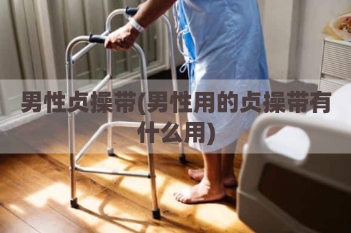 男性贞操带(男性用的贞操带有什么用)