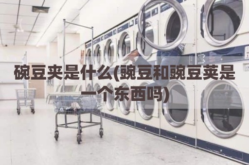 碗豆夹是什么(豌豆和豌豆荚是一个东西吗)