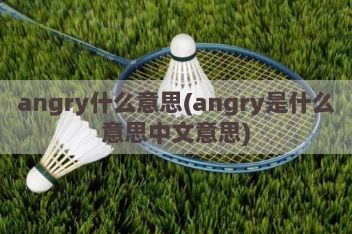 angry什么意思(angry是什么意思中文意思)