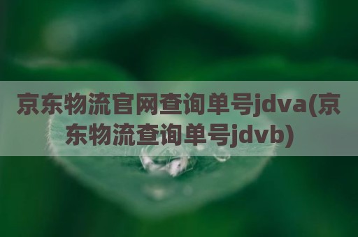 京东物流官网查询单号jdva(京东物流查询单号jdvb)