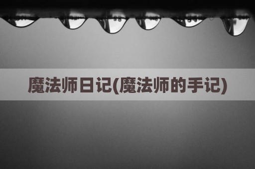 魔法师日记(魔法师的手记)