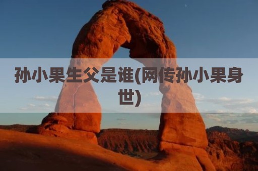 孙小果生父是谁(网传孙小果身世)