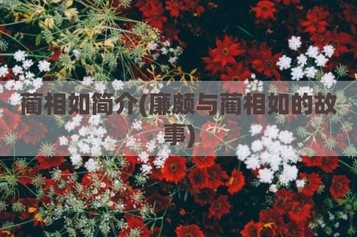 蔺相如简介(廉颇与蔺相如的故事)