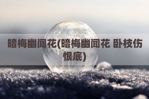 暗梅幽闻花(暗梅幽闻花 卧枝伤恨底)