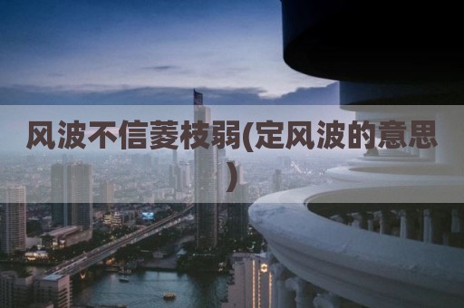 风波不信菱枝弱(定风波的意思)