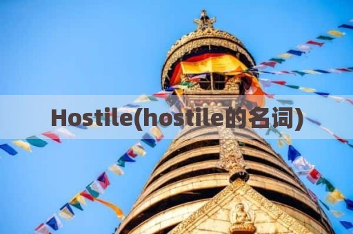 Hostile(hostile的名词)