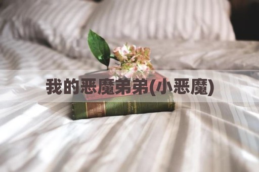 我的恶魔弟弟(小恶魔)