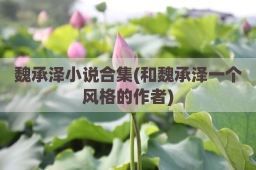 魏承泽小说合集(和魏承泽一个风格的作者)
