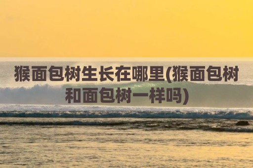 猴面包树生长在哪里(猴面包树和面包树一样吗)
